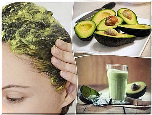 6 amazing natural properties avocado has