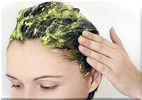 avocado hair