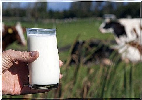 Cow's milk contains iodine, which is good for your thyroid gland.