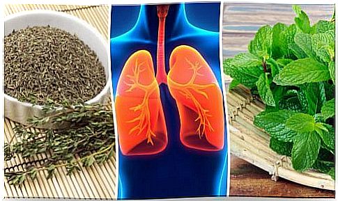 8 herbs to improve the health of your lungs