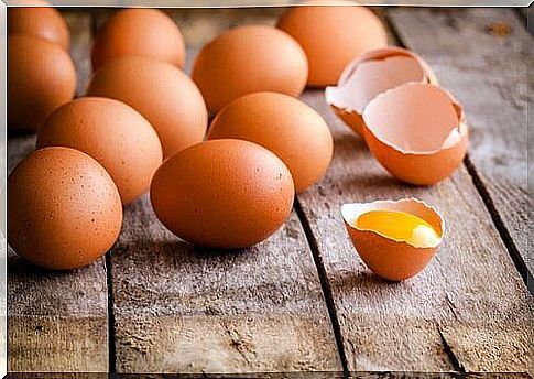 Eggs are rich in protein