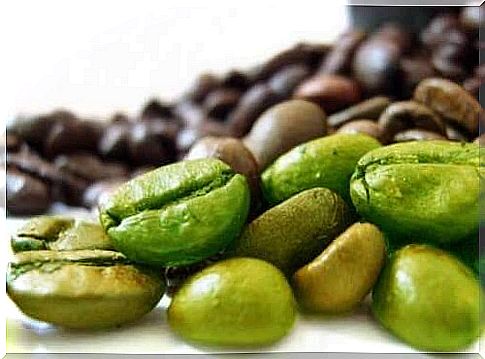 Green coffee beans