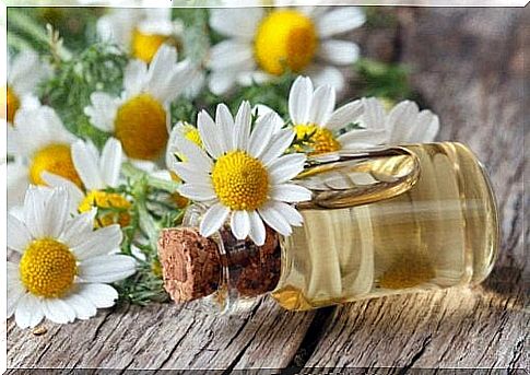 Essential chamomile oil