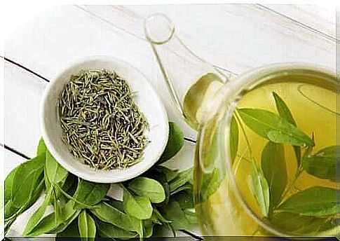 Did you know that green tea prolongs life?