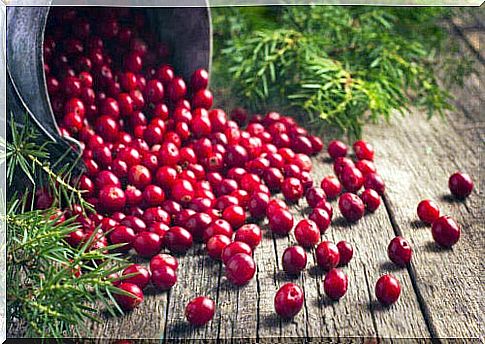 Cranberries in bucket