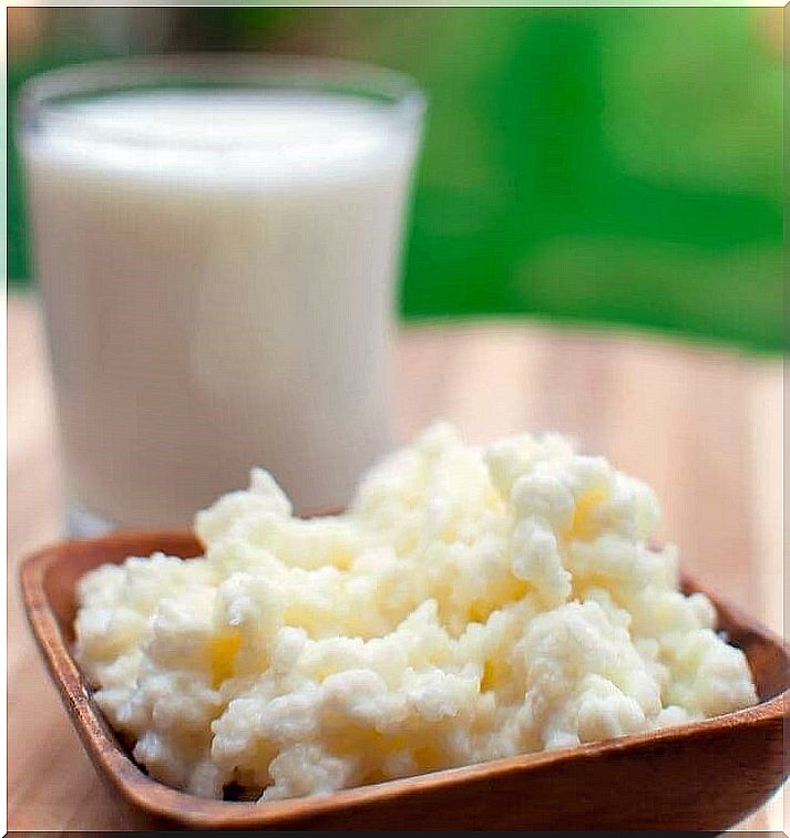 Kefir is a type of sponge