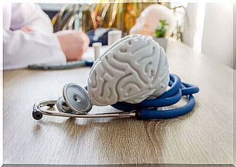 Model of brain on doctor's table