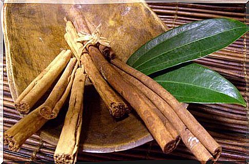 Fantastic treatment with bay leaves and cinnamon for weight loss