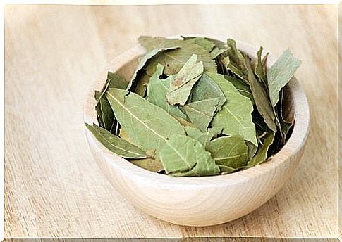 Laurel leaves in a bowl