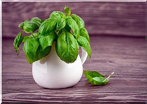 2-basil