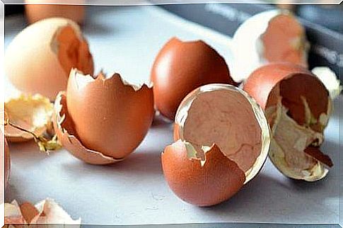 A couple of eggshells - Natural compost