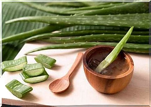 Aloe vera against wasp stings