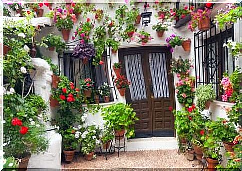 How to decorate an Andalusian-style patio