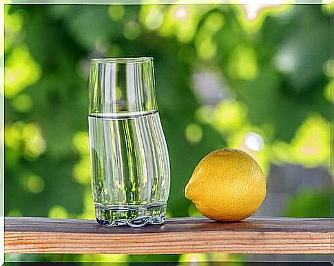 Lemon and a glass of water