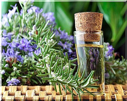 How to improve blood circulation with rosemary