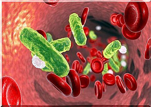 Bacteria seen in blood illustrate neonatal sepsis