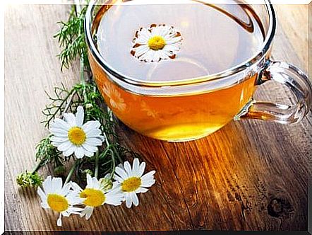 chamomile for headaches