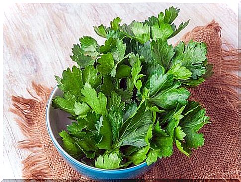 Bowl with celery