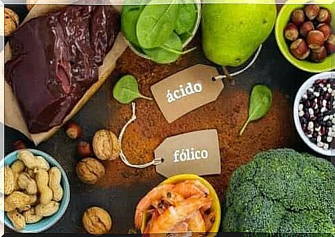 Foods high in folic acid