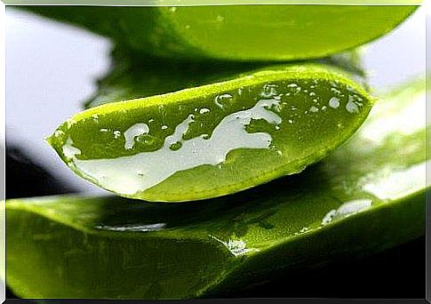 Top 5 health benefits of aloe vera