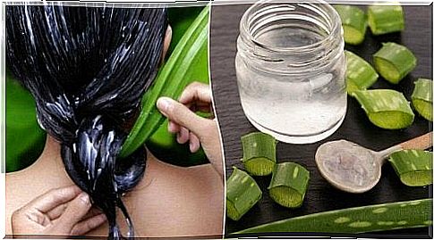 aloe vera that is used for hair