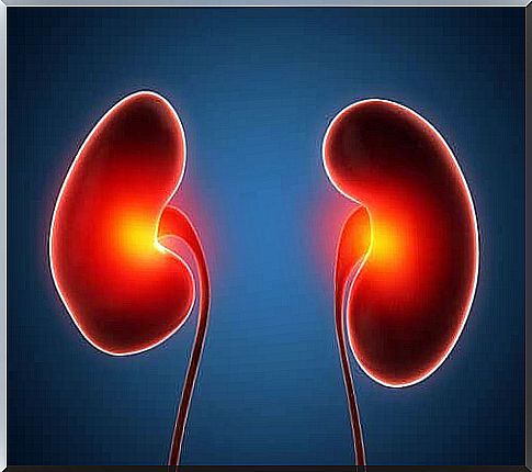 Treatment of renal abscess