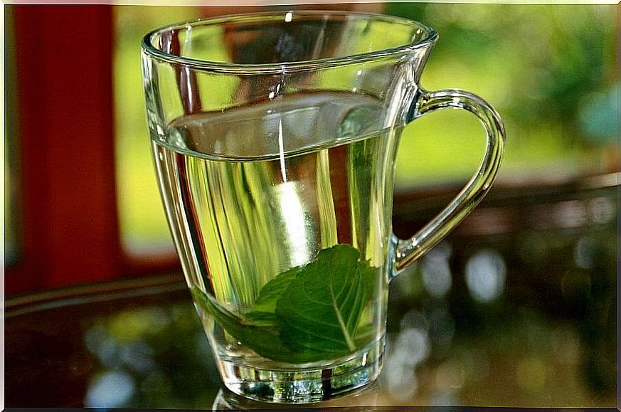 Basil tea