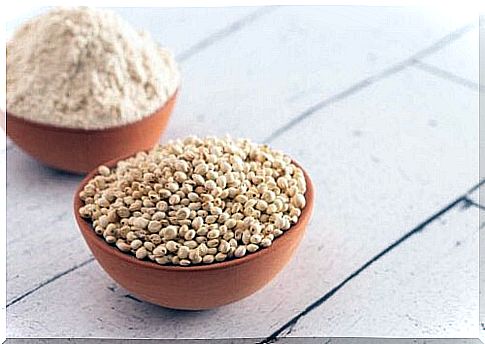 Bowl of sorghum and sorghum flour