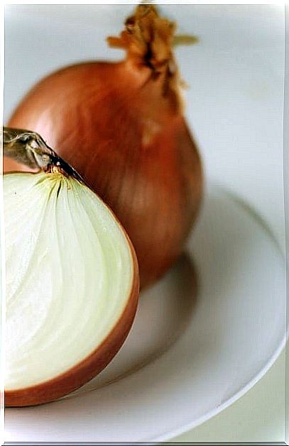 We show you how you can easily grow onions at home