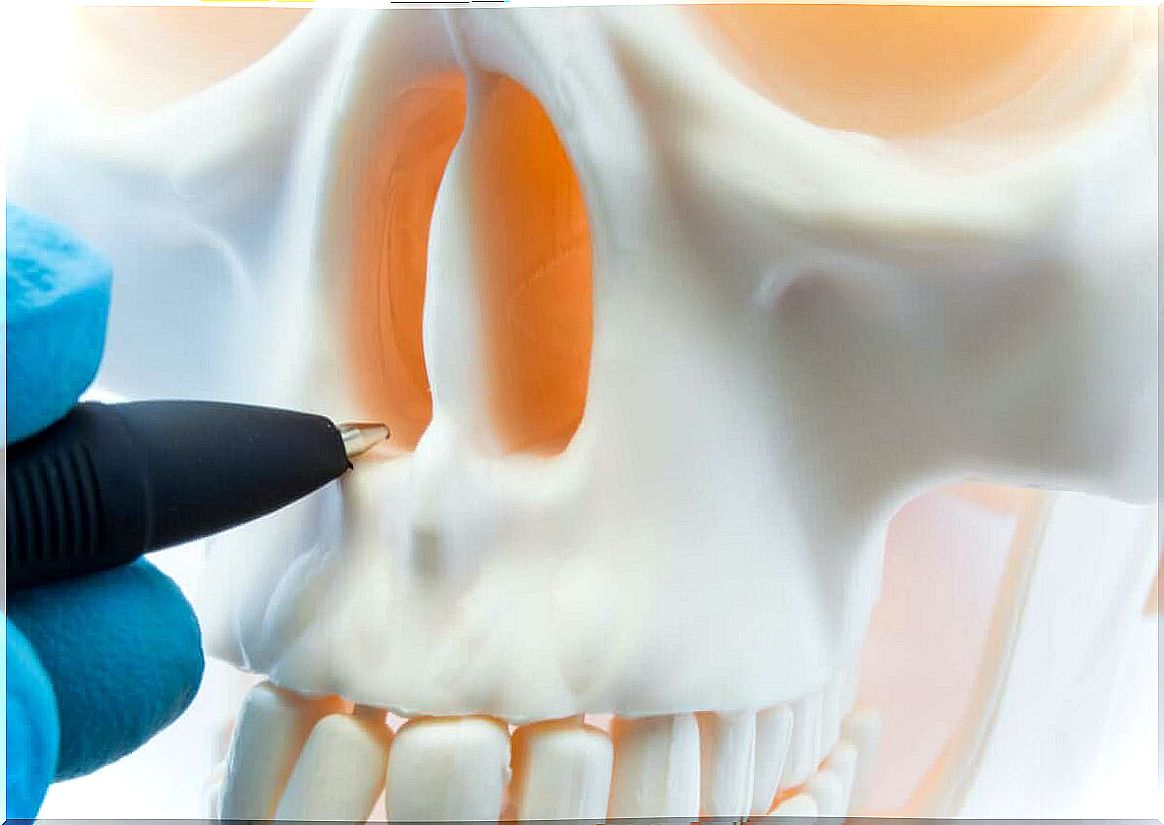 Ballpoint pen points to nostril in skull